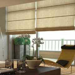 Brown Twin Translucent roman blinds in business office in semi down position