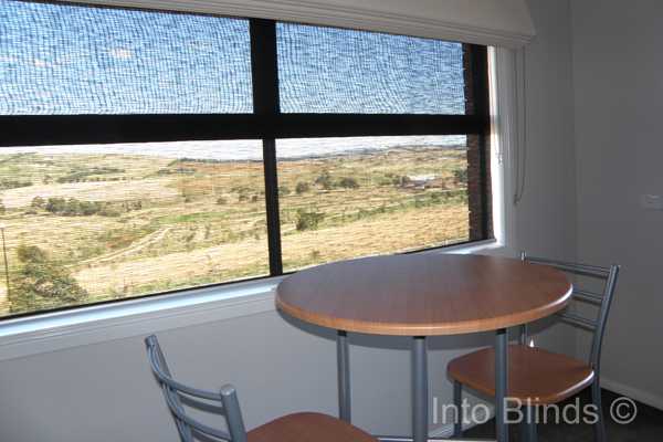 Roller Blind Sun Screen, charcoal coloured with view to back yard area