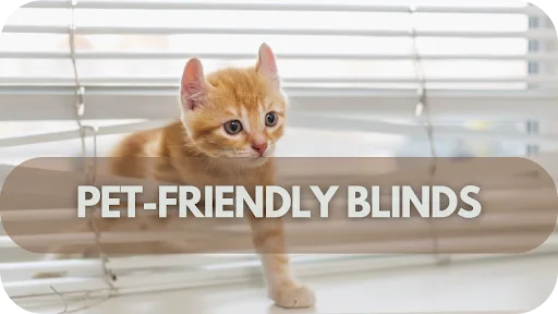 Say Goodbye to Scratches: The Ultimate Guide to Pet-Friendly Blinds
